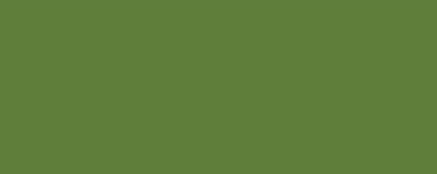 Copic Sketch Marker G99 Olive - G99 OLIVE