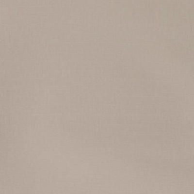 Winsor & Newton Galeria Akrilik Boya 500ml 438 Pale Umber - 438 Pale Umber