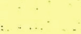 Pebeo Huile dArt 37ml Yağlı Boya Seri 2 No:269 Light Yellow - 269 Light Yellow