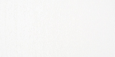 Rembrandt Soft Pastel Boya White 100.5 - 100.5 White