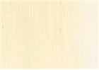 Sennelier 40ml Yağlı Boya Seri:1 No:138 Unbleached Titanium - 138 Unbleached Titanium