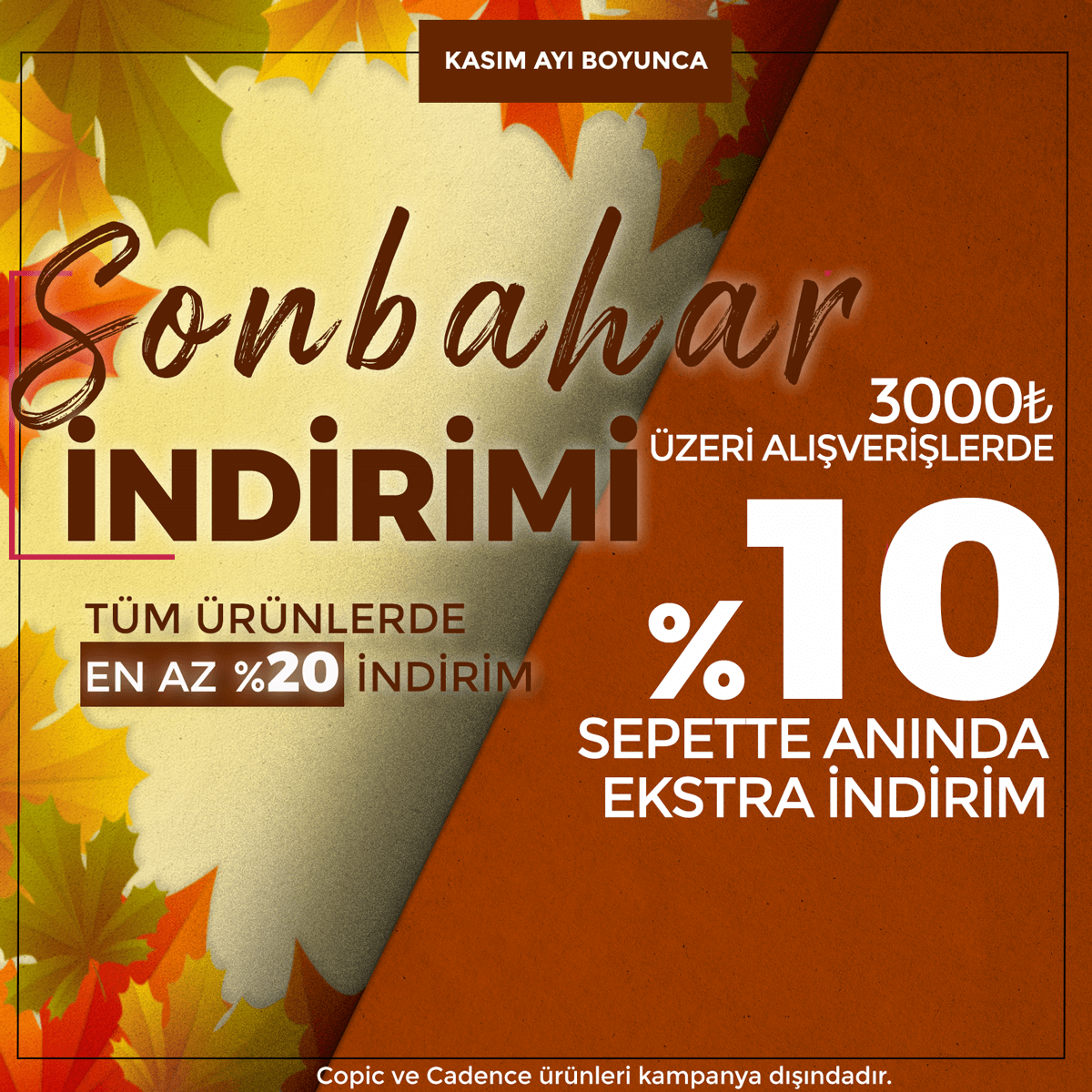 sonbaharkare.png (577 KB)