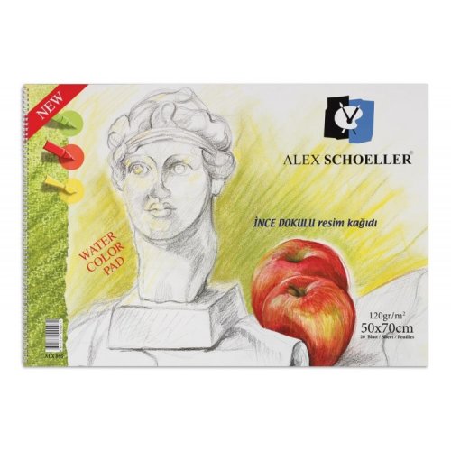Alex Schoeller İnce Dokulu Resim Defteri 120g 15 Yaprak 50x70cm - 50x70cm