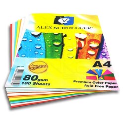 Alex Schoeller - Alex Schoeller Renkli Fotokopi Kağıdı A4 80g 100 Adet ALX-779