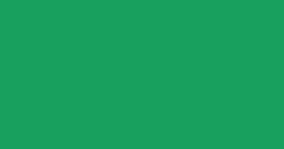 Artdeco Ebru Boyası 30ml Yeşil No:13