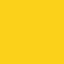 Cadence - Cadence Premium Akrilik Boya 120ml 0755 Limon Sarı