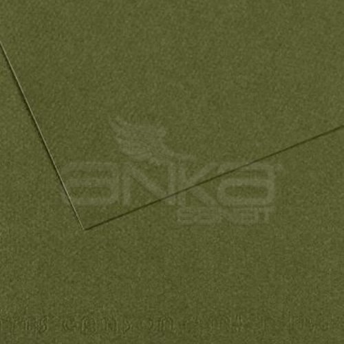 Canson 50x65 160g Fon Kartonu 5li 448 Ivy - 448 Ivy