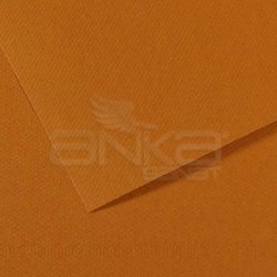 Canson - Canson 50x65 160g Fon Kartonu 5li 502 Havan Clear