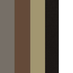 Canson - Canson Mi-Teintes Touch Pastel Kağıdı 5li Paket 50x65 Set 1