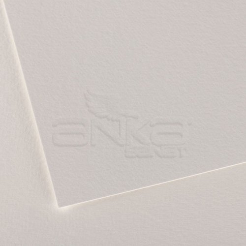 Canson Oil & Acrylic Paper Pad Yağlı & Akrilik Boya Çizim Defteri 290g 10 Yaprak