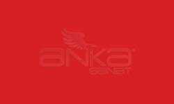 Chameleon Ink Refill RD4 Crimson Red 25ml - RD4 Crimson Red 25ml