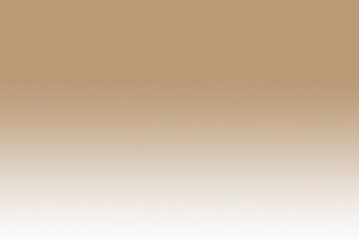 Chameleon Marker BR1 Taupe - BR1 Taupe