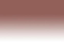 Chameleon - Chameleon Marker BR4 Burnt Umber