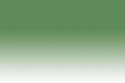 Chameleon Marker GR2 Dark Sage - GR2 Dark Sage