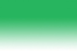Chameleon - Chameleon Marker GR3 Grass Green