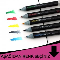 Chameleon - Chameleon Marker Pens Pembe Tonlar
