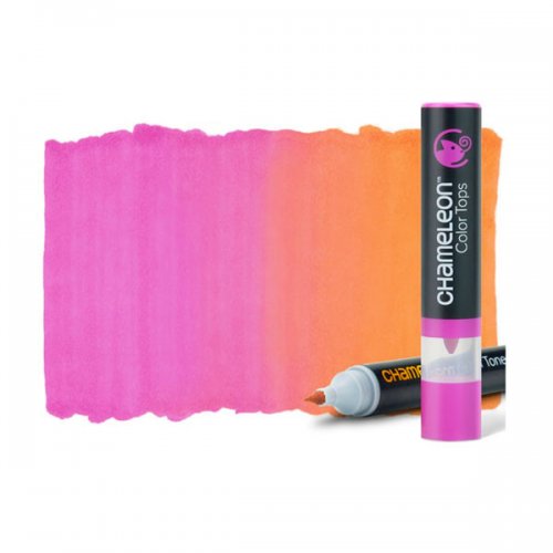 Chameleon Marker Pens