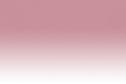 Chameleon - Chameleon Marker PK2 Dusty Rose