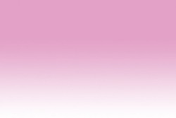 Chameleon - Chameleon Marker PK4 Peony Pink