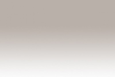 Chameleon Marker WG3 Warm Gray 3 - WG3 Warm Gray 3