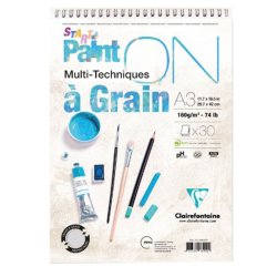 Clairefontaine - Clairefontaine Paint On Starter Multi-Techniques Spiralli 160g A3