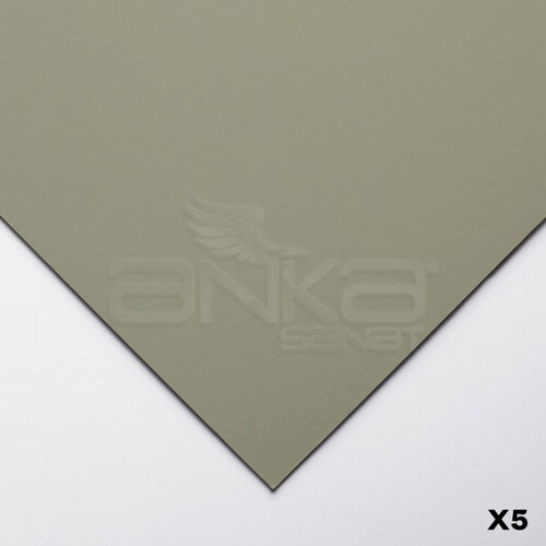Clairefontaine Pastelmat Pastel Kağıdı 50x70cm 360g 5li Paket Dark Grey - Dark Grey