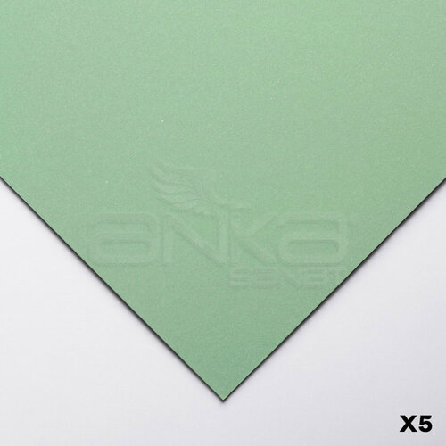 Clairefontaine Pastelmat Pastel Kağıdı 50x70cm 360g 5li Paket Light Green - Light Green