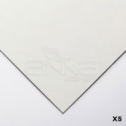 Clairefontaine - Clairefontaine Pastelmat Pastel Kağıdı 50x70cm 360g 5li Paket Light Grey