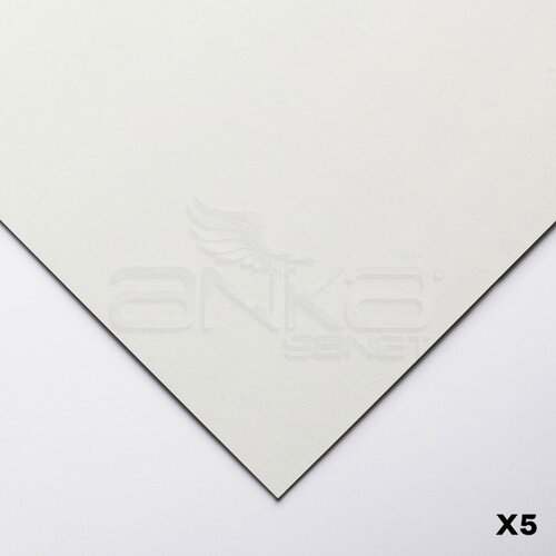Clairefontaine Pastelmat Pastel Kağıdı 50x70cm 360g 5li Paket Light Grey - Light Grey