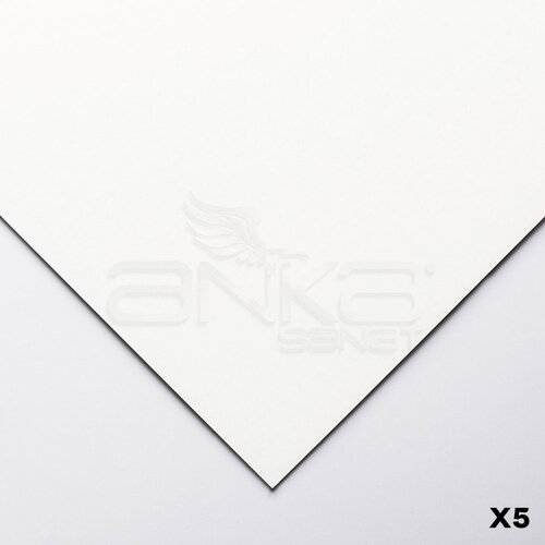 Clairefontaine Pastelmat Pastel Kağıdı 50x70cm 360g 5li Paket White - White