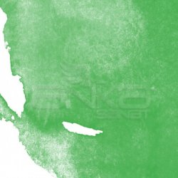 Daler Rowney - Daler Rowney Aquafine Watercolour İnk Sulu Boya Mürekkebi 29.5ml 355 Leaf Green