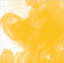 Daler Rowney - Daler Rowney FW Acrylic Artist Ink 29.5ml Cam Şişe Brilliant Yellow 607