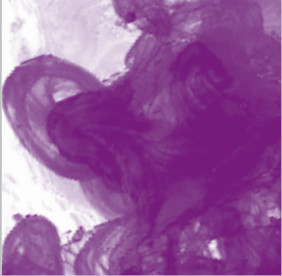 Daler Rowney FW Acrylic Artist Ink 29.5ml Cam Şişe Purple Lake 437 - 437 Purple Lake