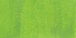 Daler Rowney - Daler Rowney FW Pearlescent Acrylic Inks 29.5ml Cam Şişe 115 Macaw Green