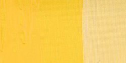 Daler Rowney - Daler Rowney Graduate Akrilik Boya 500ml 634 Naples Yellow