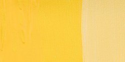 Daler Rowney - Daler Rowney Graduate Akrilik Boya 500ml 634 Naples Yellow