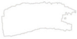 Daler Rowney - Daler Rowney Water Soluble Blockprint Linol Boyası 250ml 011 White