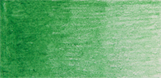 Derwent - Derwent Coloursoft Kuru Boya Kalemi Green C420