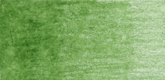 Derwent - Derwent Coloursoft Kuru Boya Kalemi Pea Green C430