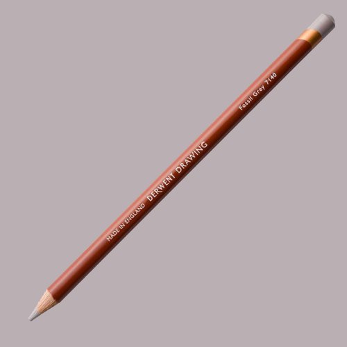 Derwent Drawing Pencil Renkli Çizim Kalemi 7140 Fossil Grey