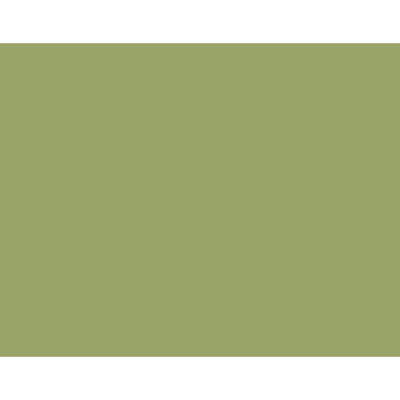 Derwent Drawing Pencil Renkli Çizim Kalemi 5090 Crag Green