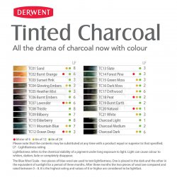 Derwent Tinted Charcoal Sulandırılabilen Renkli Füzen Kalem 24lü Set - Thumbnail