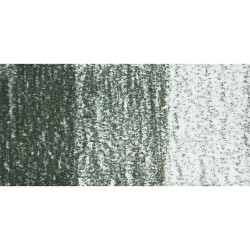 Derwent Tinted Charcoal Sulandırılabilen Renkli Füzen Kalem TC14 Forest Pine - Thumbnail