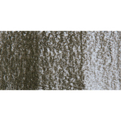 Derwent Tinted Charcoal Sulandırılabilen Renkli Füzen Kalem TC16 Dark Moss - Thumbnail