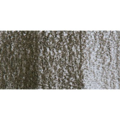 Derwent Tinted Charcoal Sulandırılabilen Renkli Füzen Kalem TC16 Dark Moss