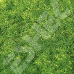 Eshel - Eshel Açık Yeşil Toz Çim Paket İçi:20g (1)