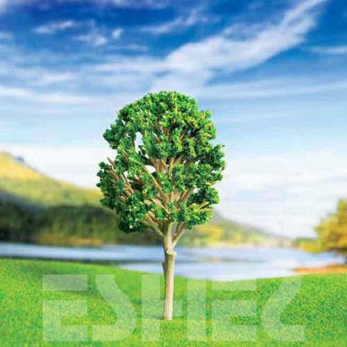 Eshel Ceviz Ağacı 4,5cm Paket İçi:3