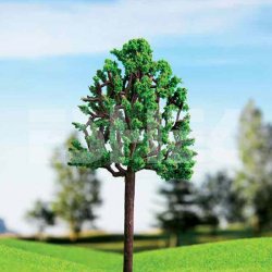 Eshel Kavak Ağacı 14cm Paket İçi:1 - Thumbnail