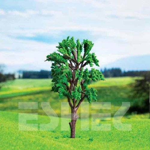 Eshel Okaliptüs Ağacı 13,5cm Paket İçi:1