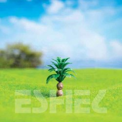 Eshel Salon Palmiyesi Ağacı Maketi 2,5cm 3lü - Thumbnail